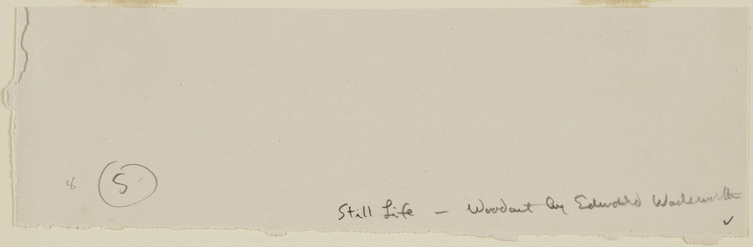Still Life