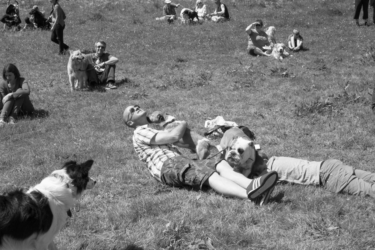 GB. WALES. Tintern. Dog show. 2013