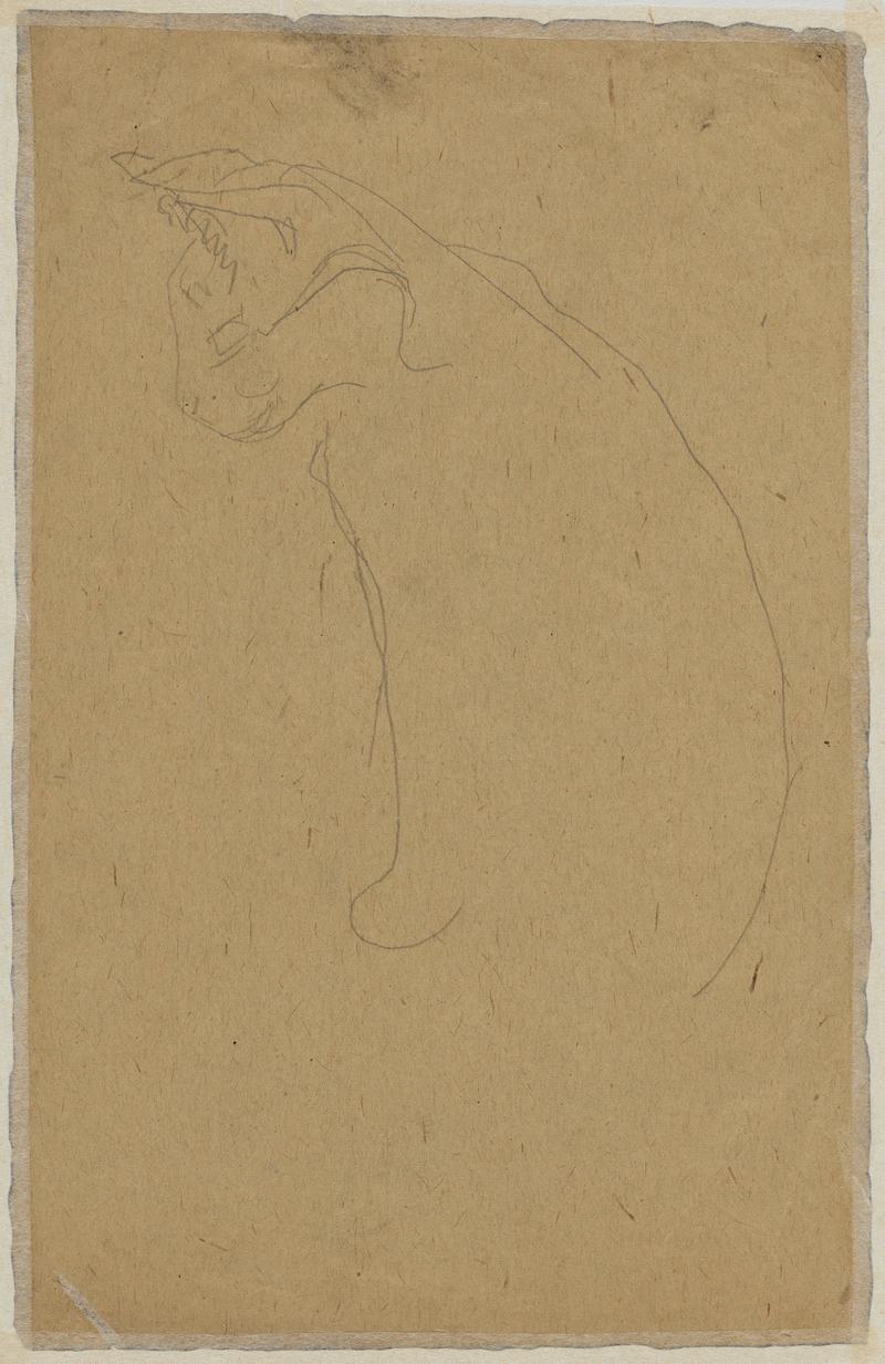 Female Nude