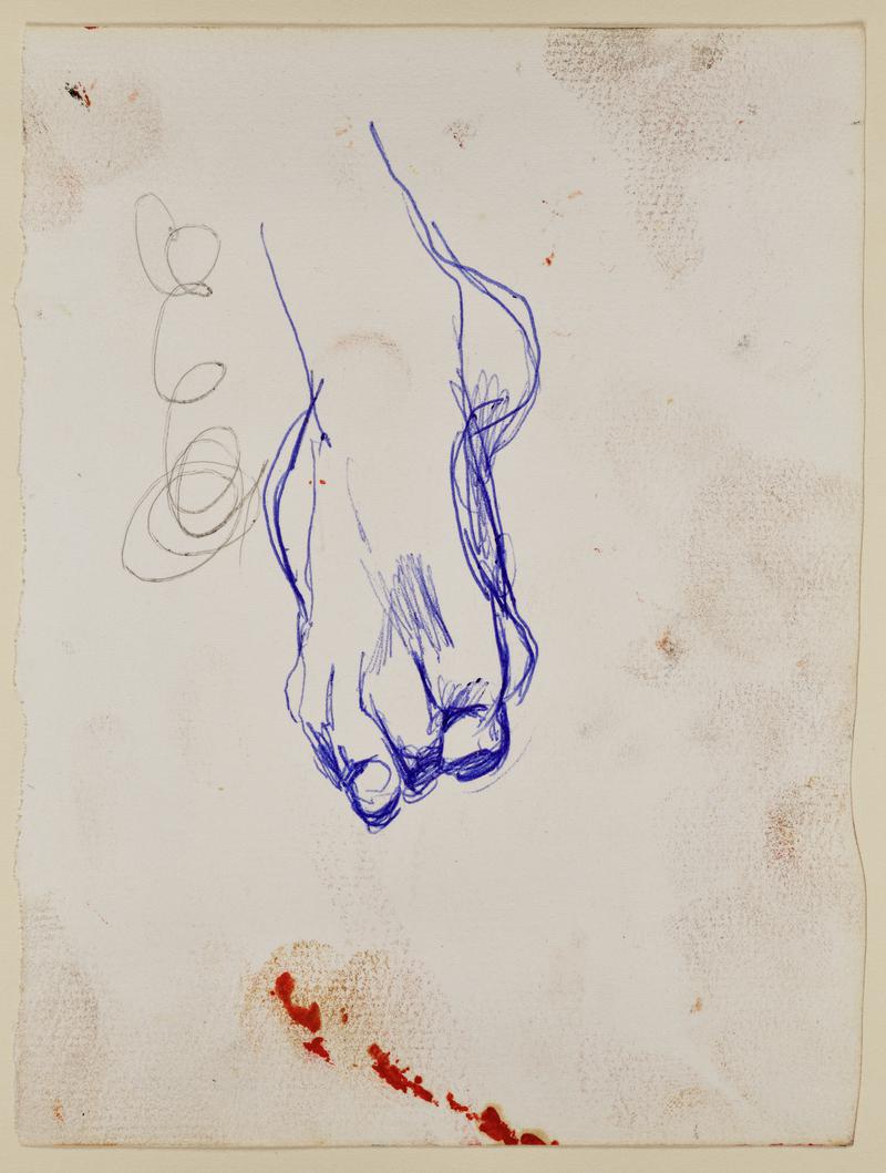 Sketch of Foot