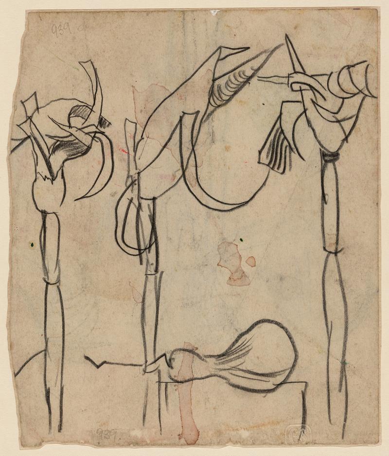 Study of maize heads