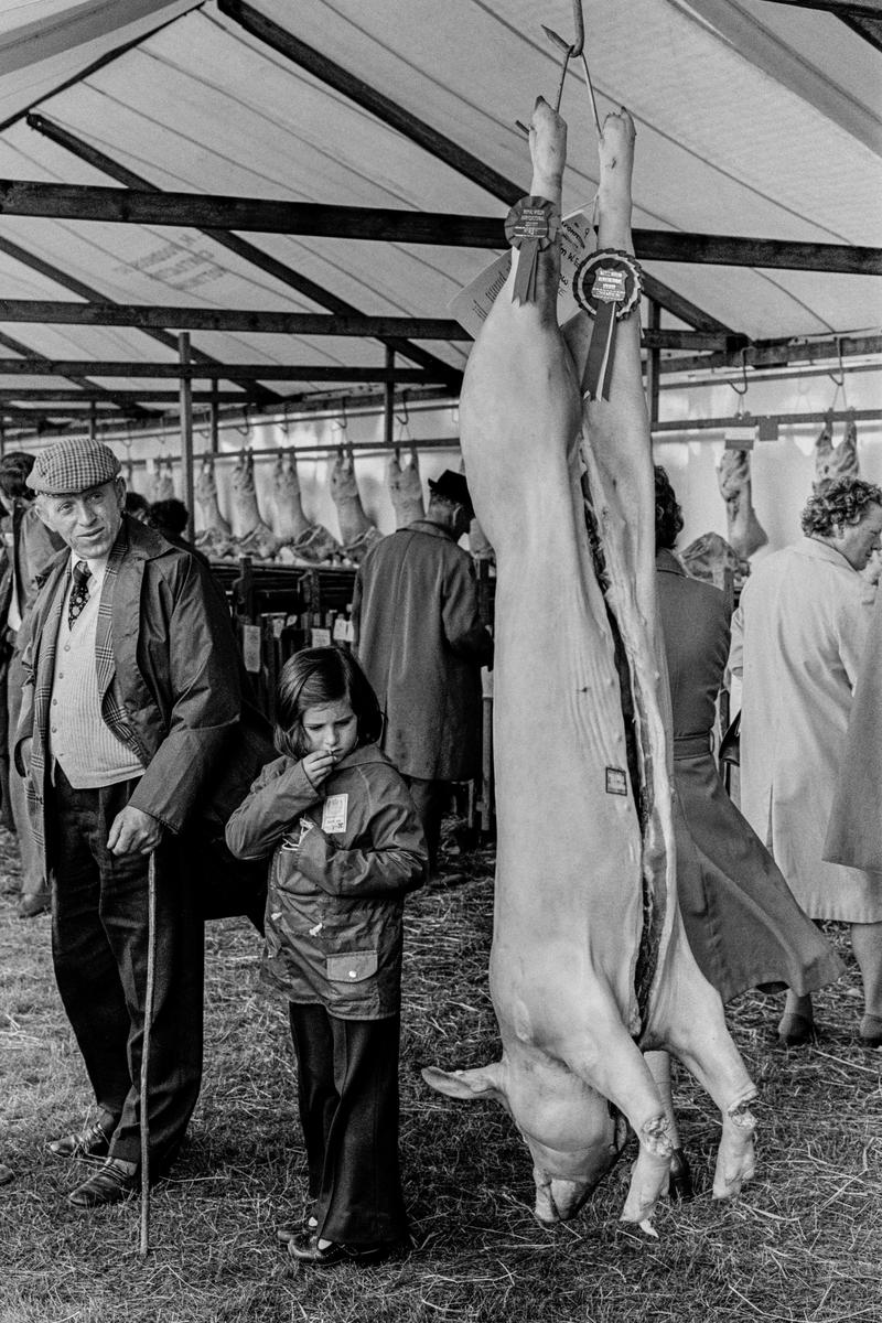 GB. WALES. Builth Wells. Royal show. 1977.