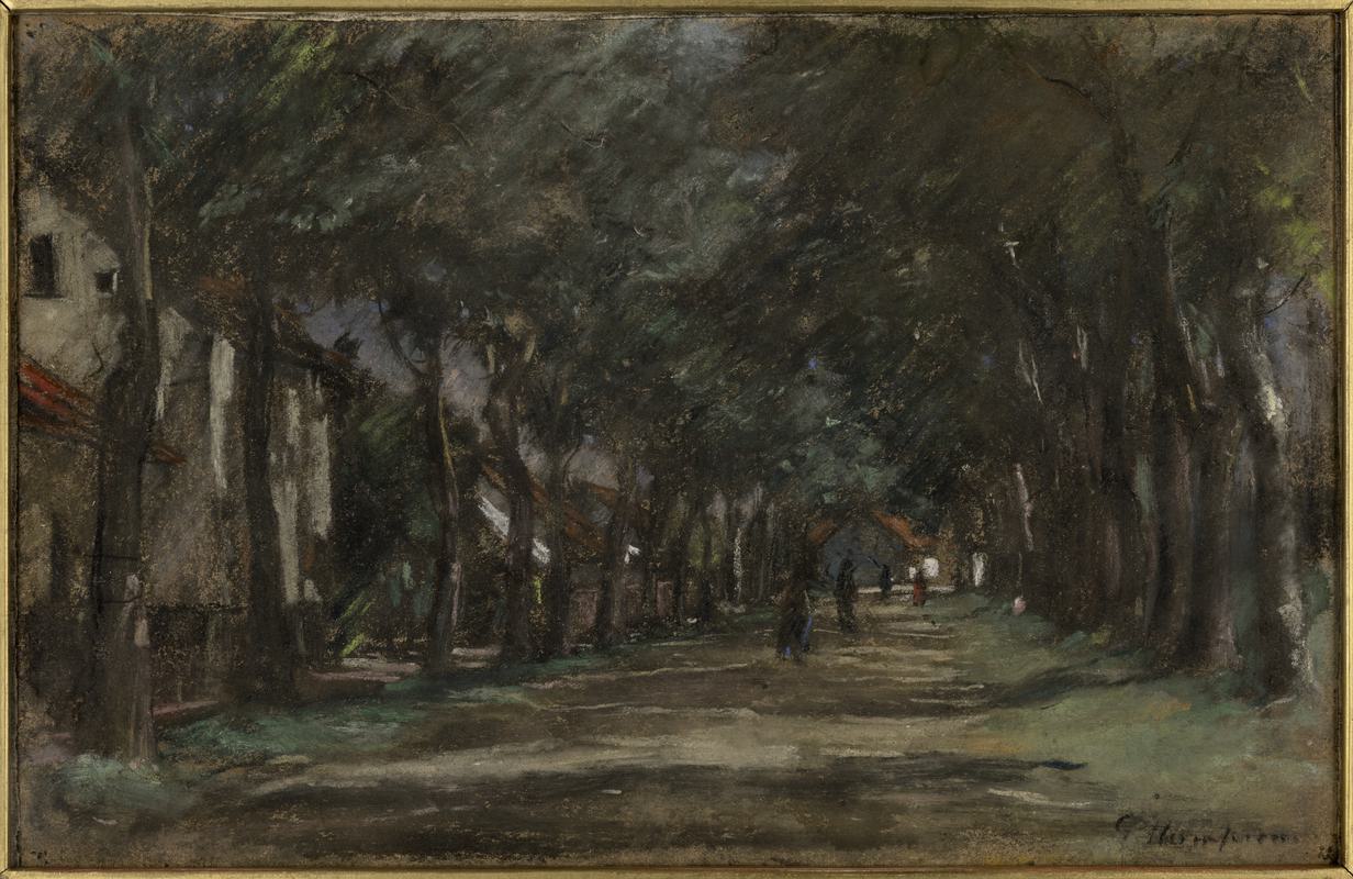 An Avenue in Holland