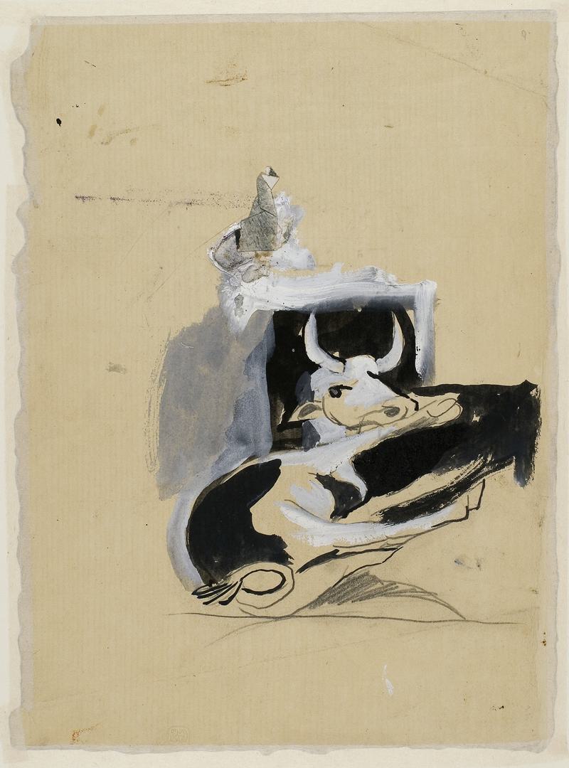 Study of a cow