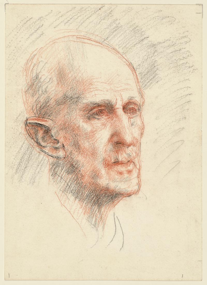 Head of an Elderly Man