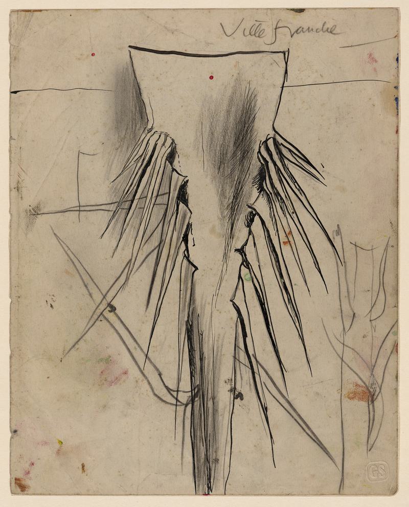 Study of a palm frond