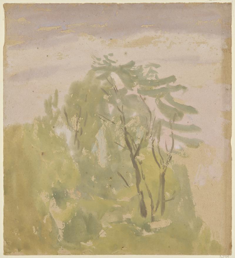 Trees