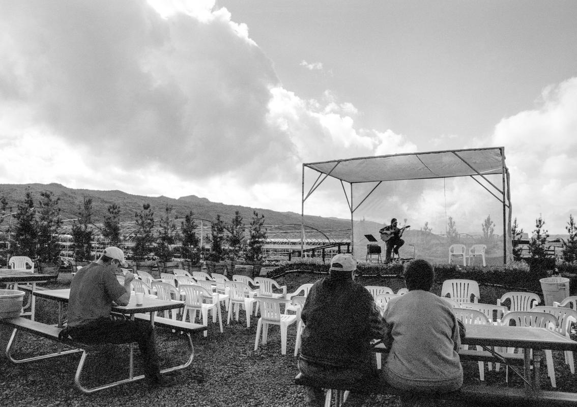 USA. ARIZONA. Phoenix. Pontsettia Festival.  Free evening concert. 1997.