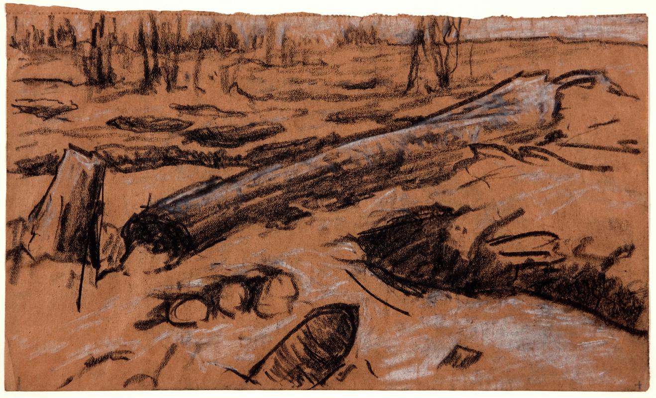 A Fallen Tree