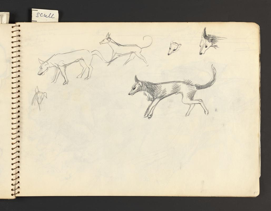 Sketchbook: Skomer including wildlife, horses & dogs; house, Skokholm; London Studio; Renney Slip