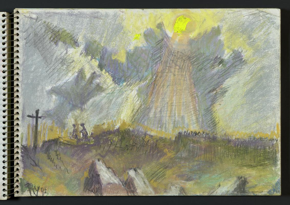 Sketchbook: leaves in London garden, Martin's Haven, Deer Park, vicarage garden in Dale, Renney Slip, Dr Hywel Thomas & son, trees, plants, cats, birds, Harold Stone on Skomer
