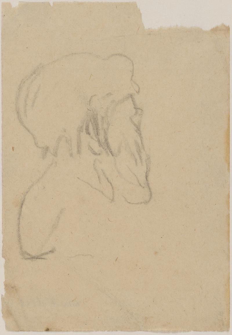 Study of right side of man's head