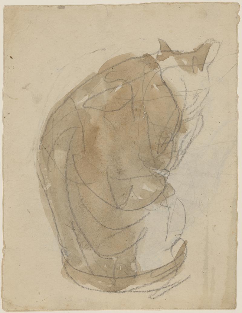 Seated ginger cat