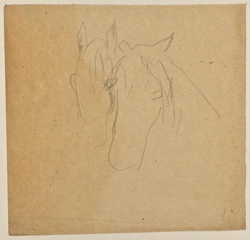 Study of Horses