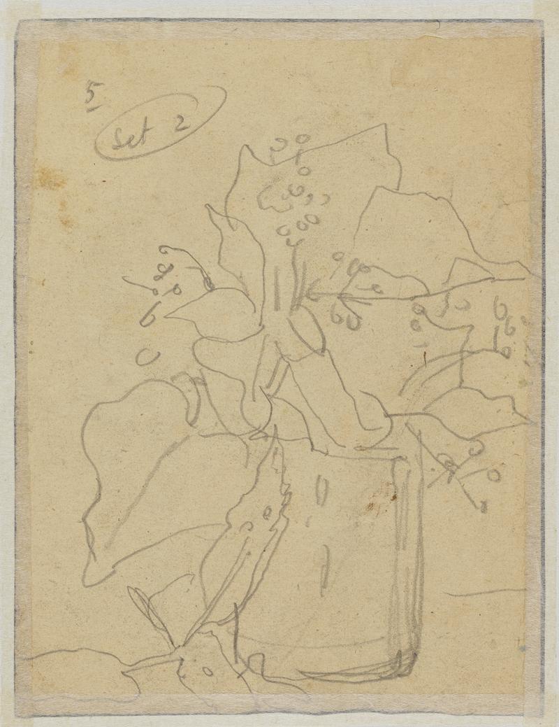 Green leaves in a white jug