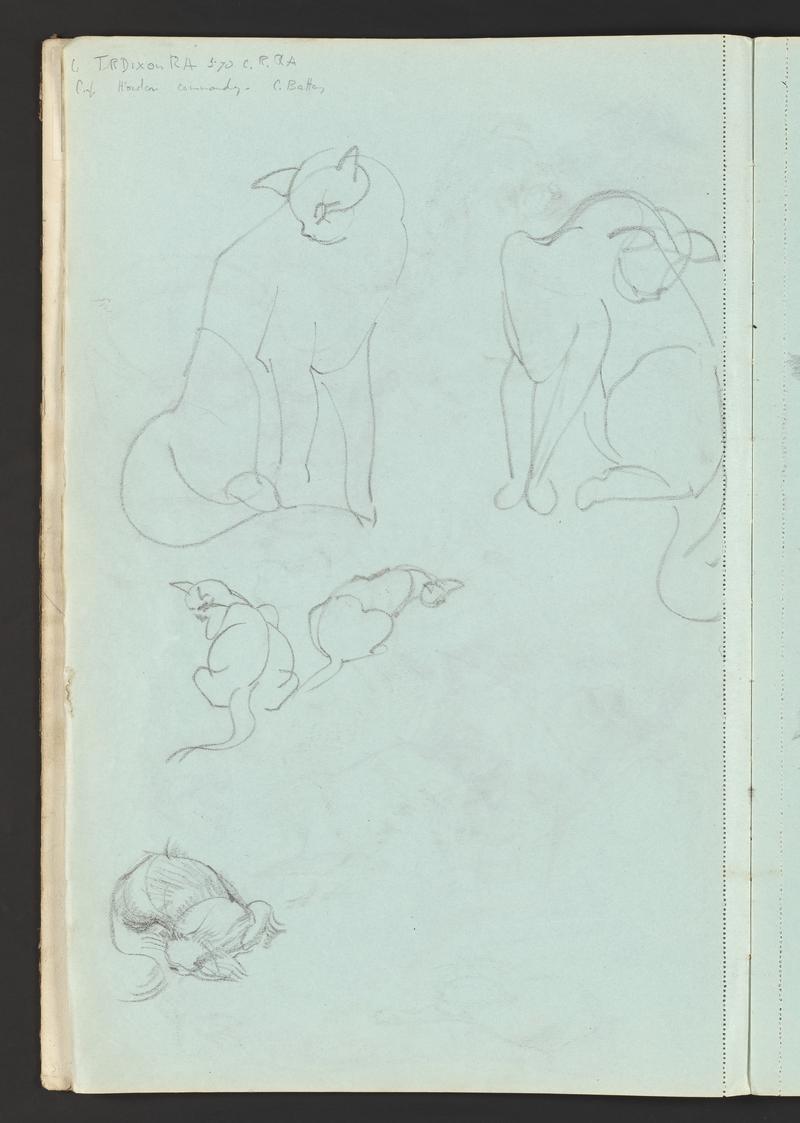 Sketchbook: WAX XD (Flatholm); Nan with Susan, Florence Stoate, Hal & Rookery, cats