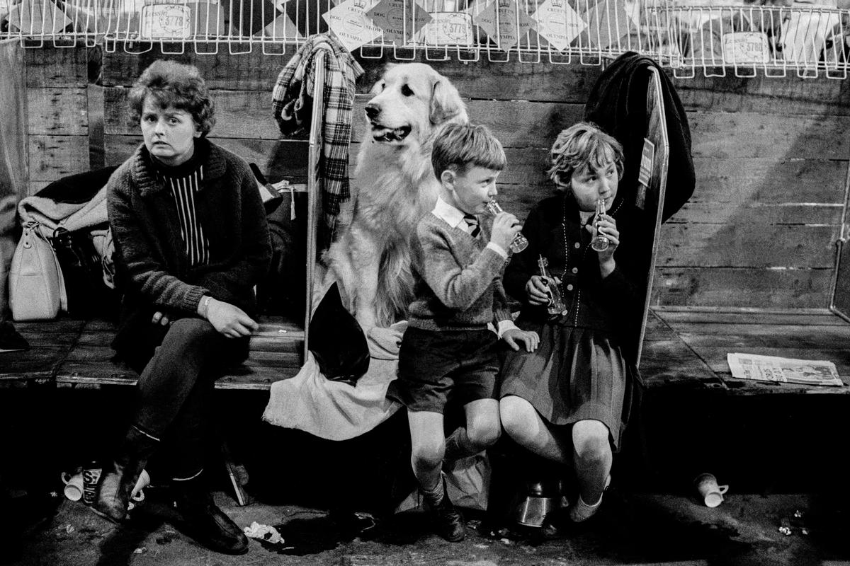 GB. SCOTLAND. Glasgow. Dog show. 1967.