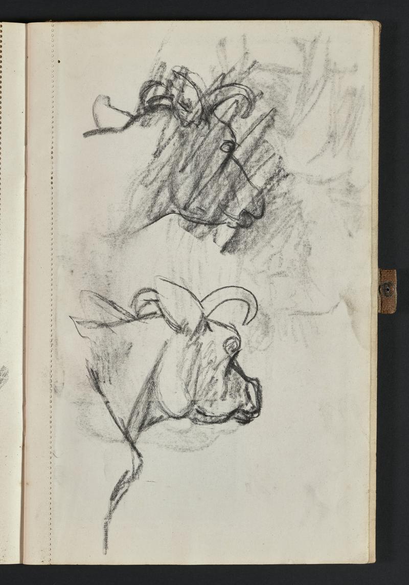 Sketchbook