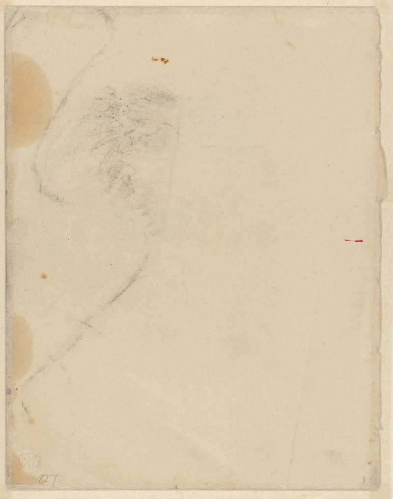 Study of an eagle