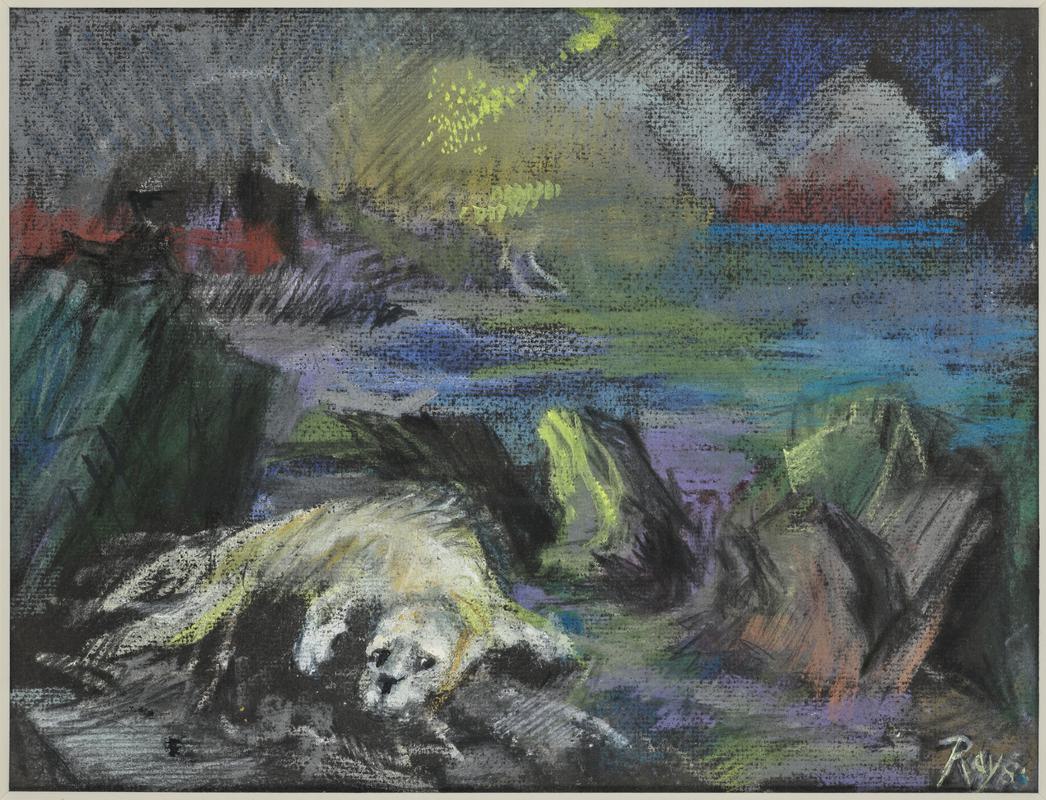 Tanis on Skomer
