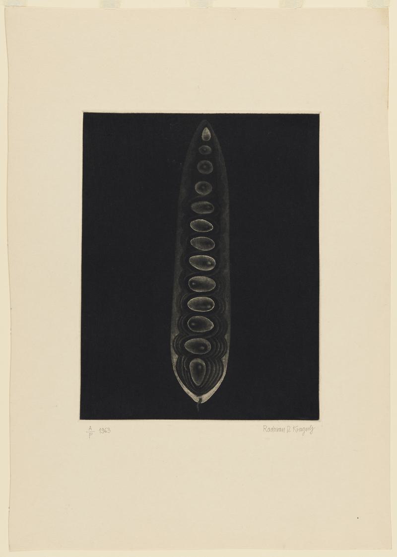 Seeds