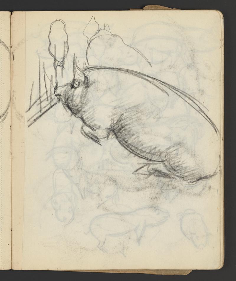 Sketchbook