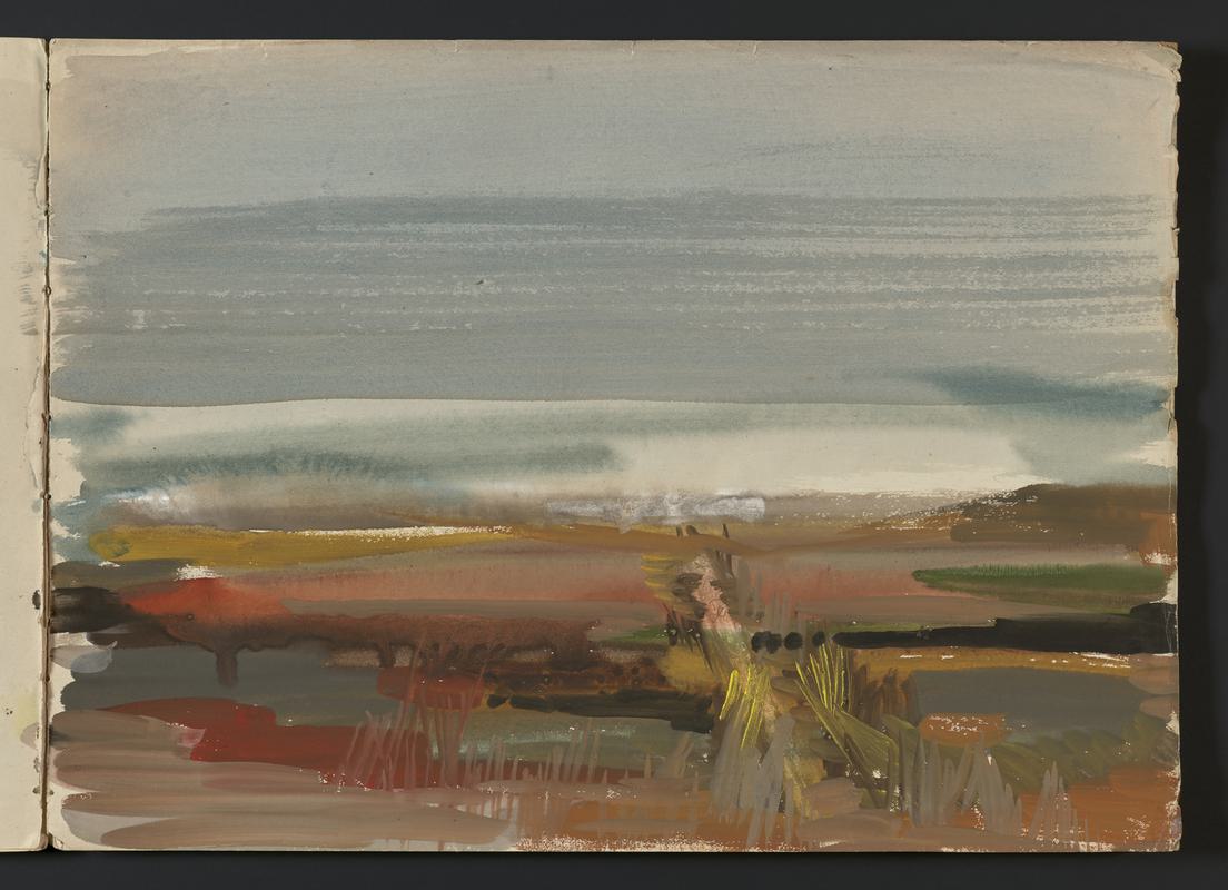 Sketchbook: Skomer landscape, Pluto the pigeon