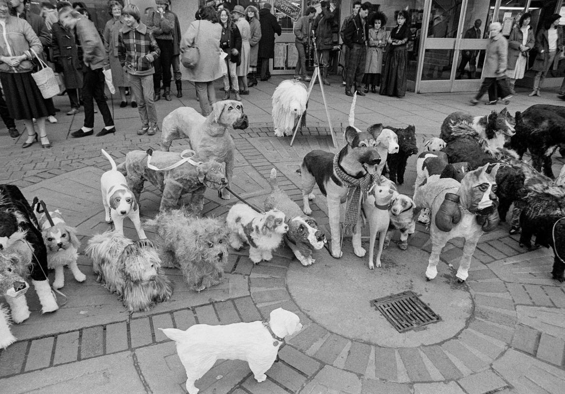 GB. WALES. Newport. Dogs made by Foundation course students at the Art College. 1984