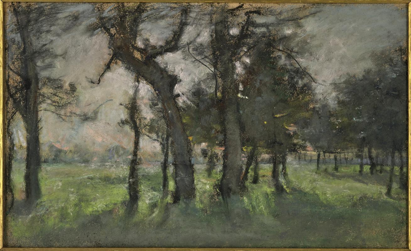 Landscape