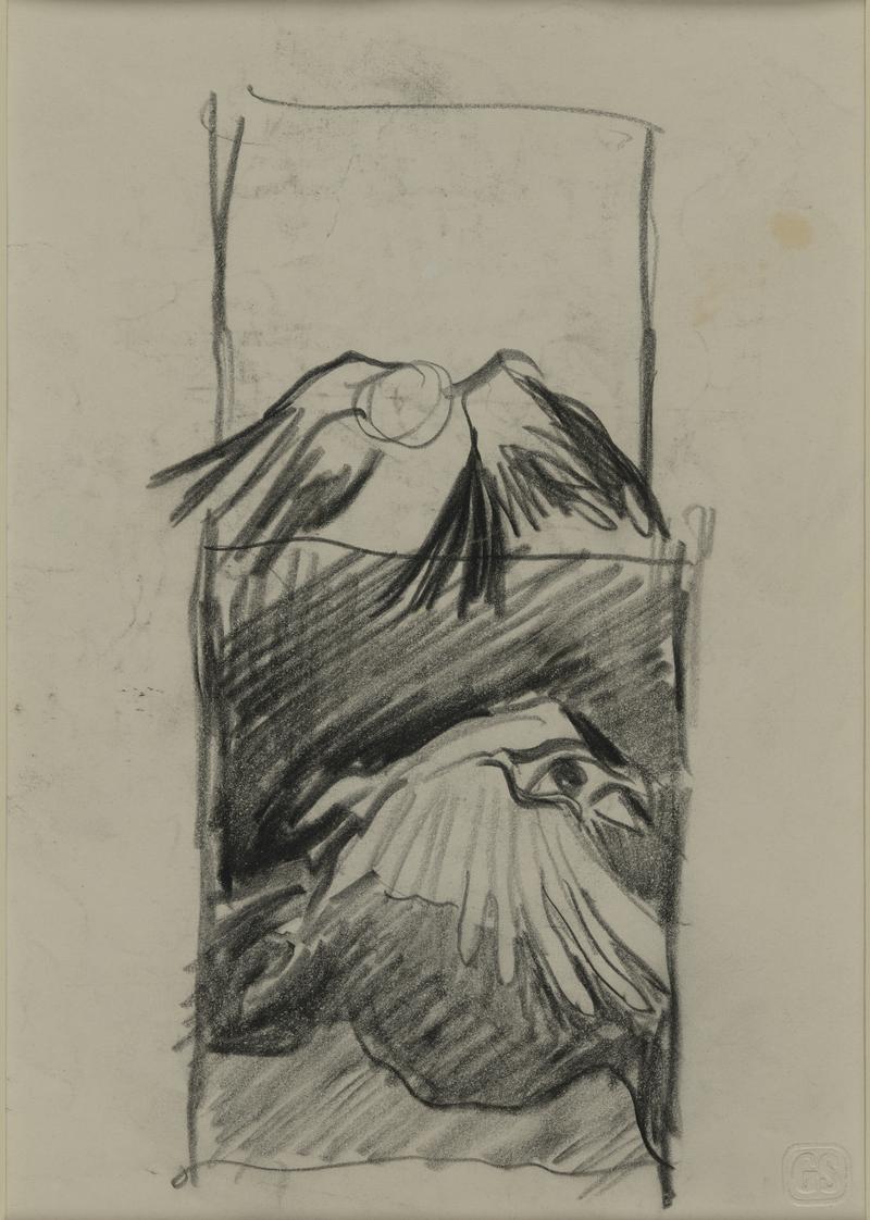 Two studies of bird