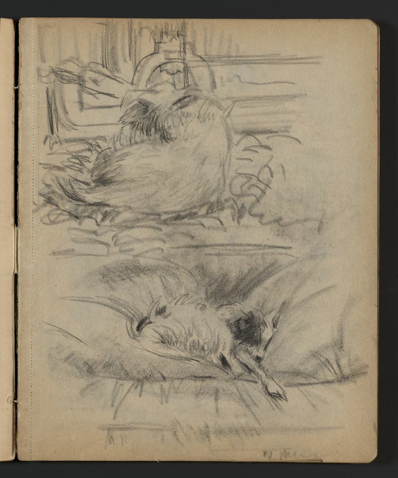 Sketchbook
