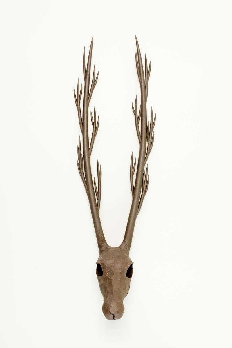 Head with thorns