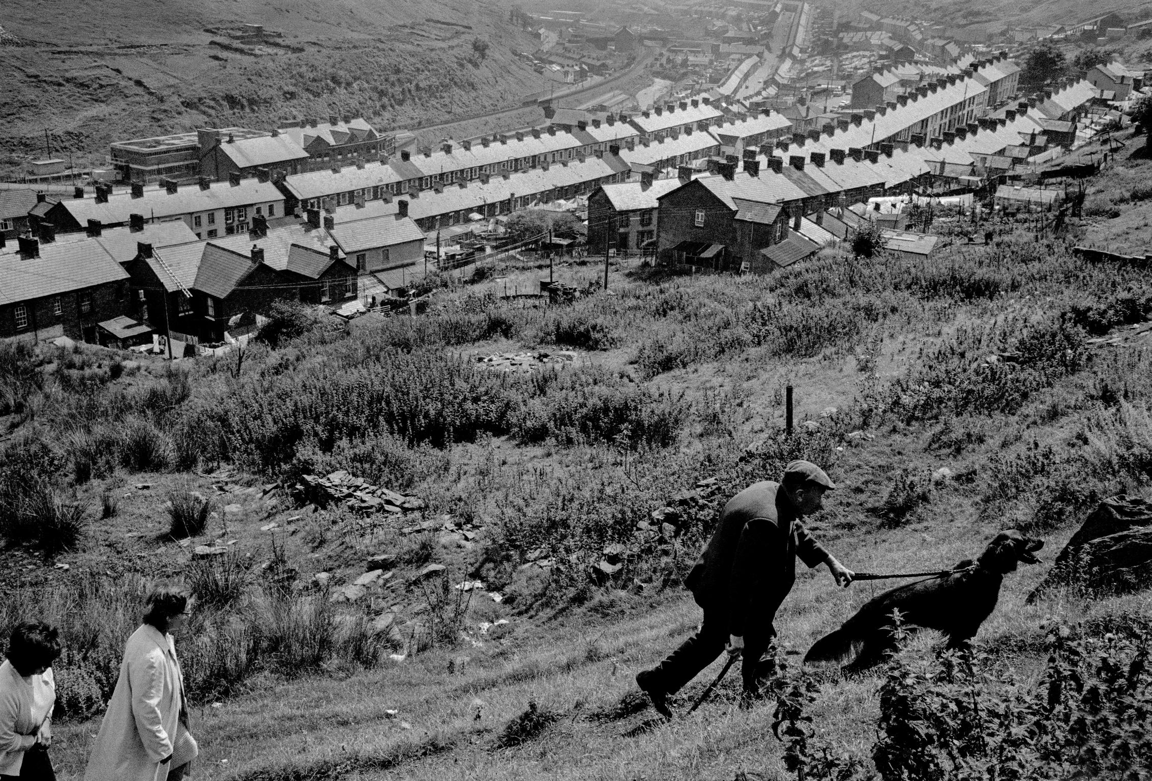 GB. WALES. Tylorstown. In the South Wales valley's, walking the dog. 1971.