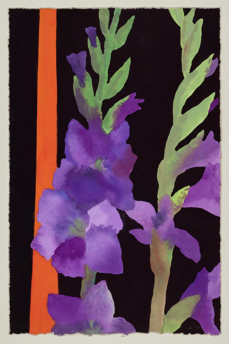 Purple Gladioli with Orange Stripe
