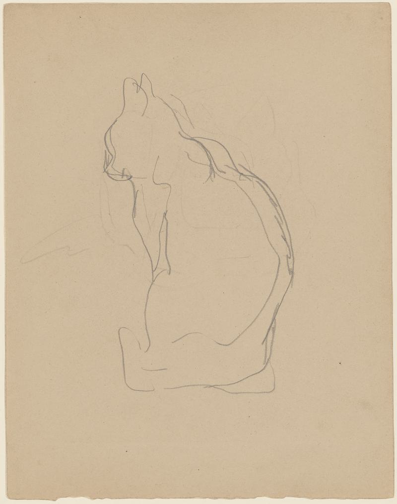 Cat, facing left
