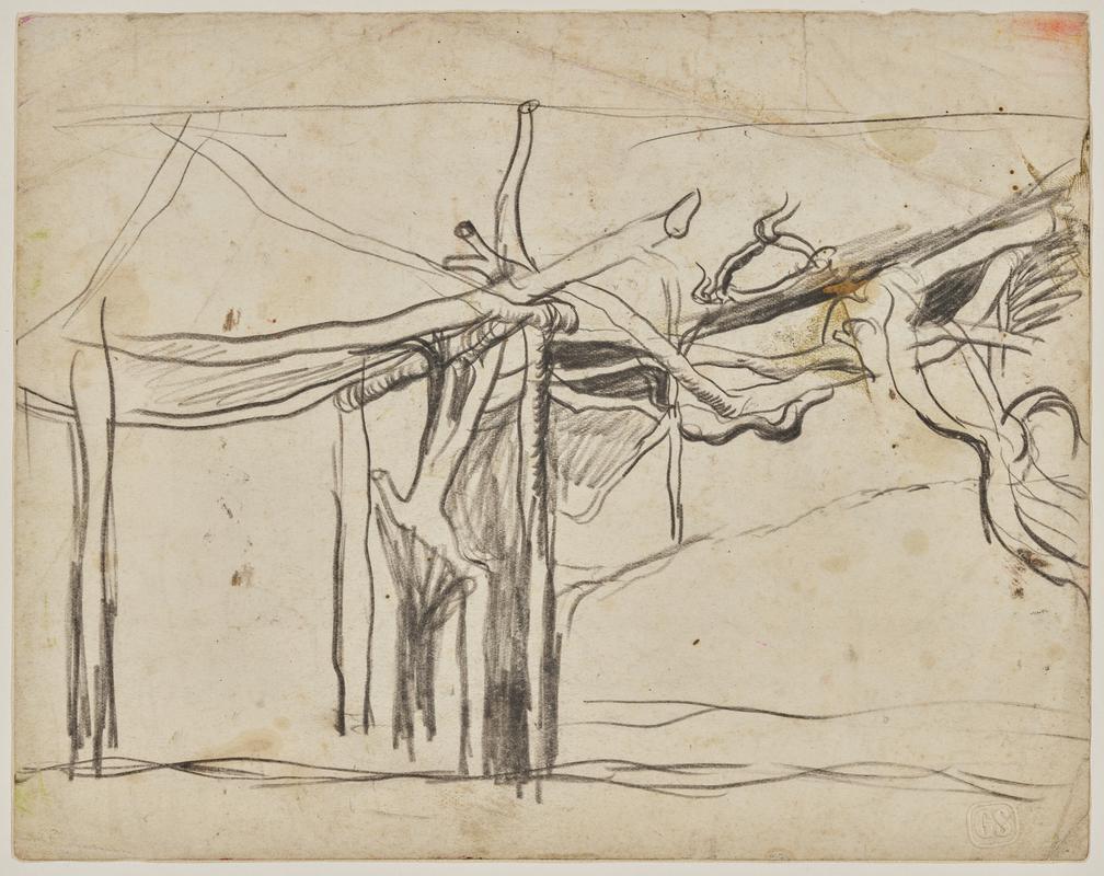 Vine pergola sketch