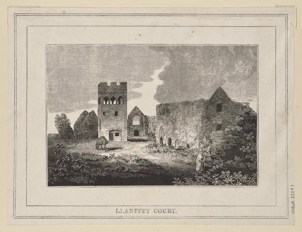 Llanffrey Court