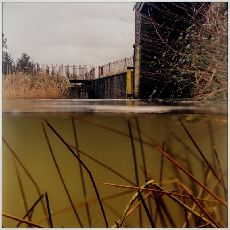 Untitled (from the series Water Level) 6
