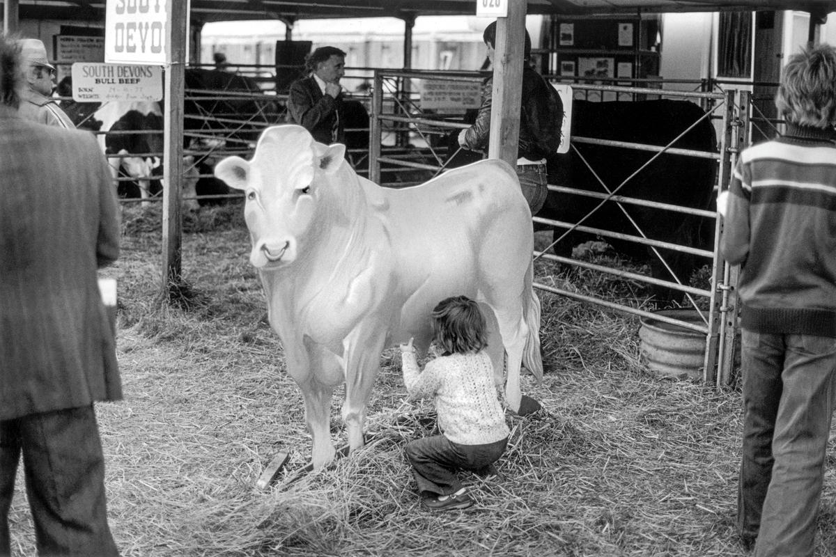 GB. WALES. Builth Wells. A child with a lot of imagination milks an artificial cow at the Royl Welsh Show. 1978