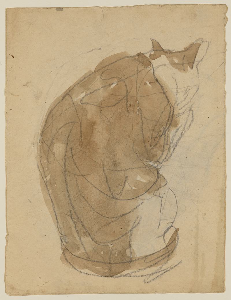 Seated Ginger Cat