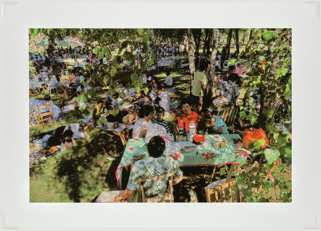 The Picnic. Extremadura, Spain