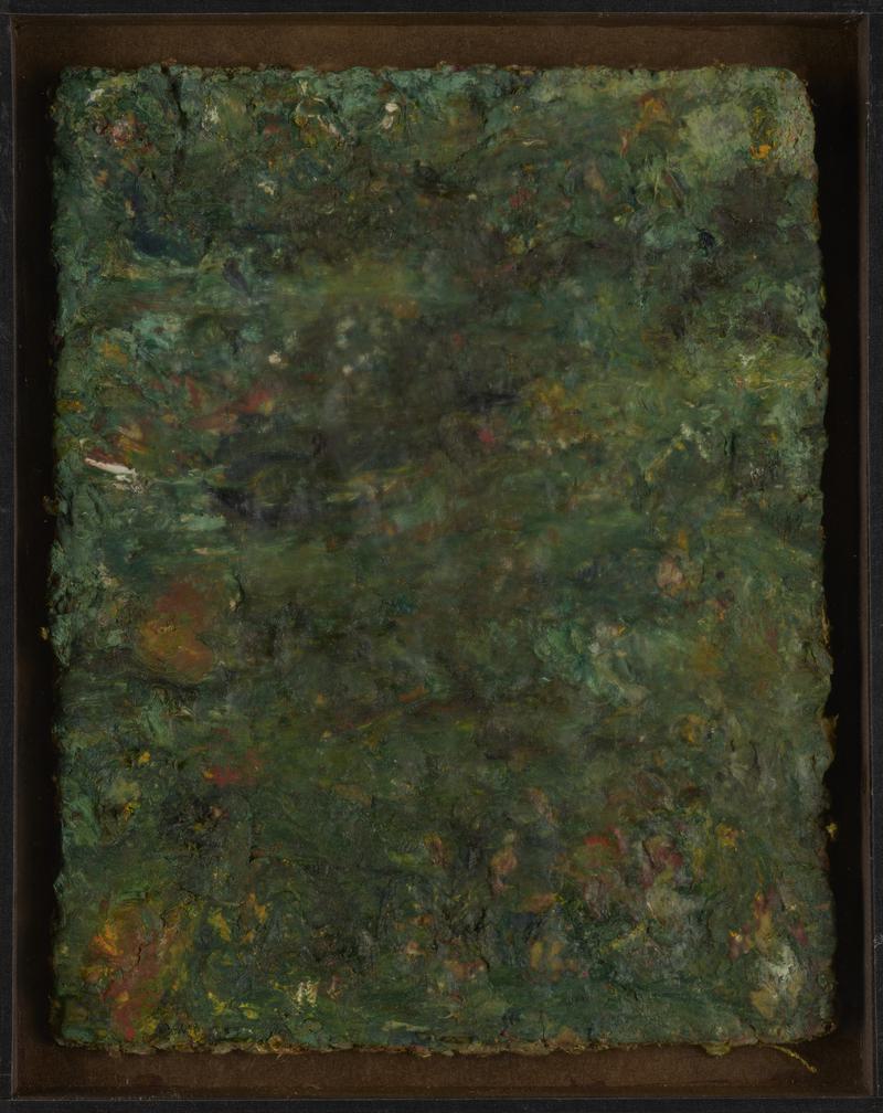 Monet&#039;s Carpet is Nature&#039;s Floor