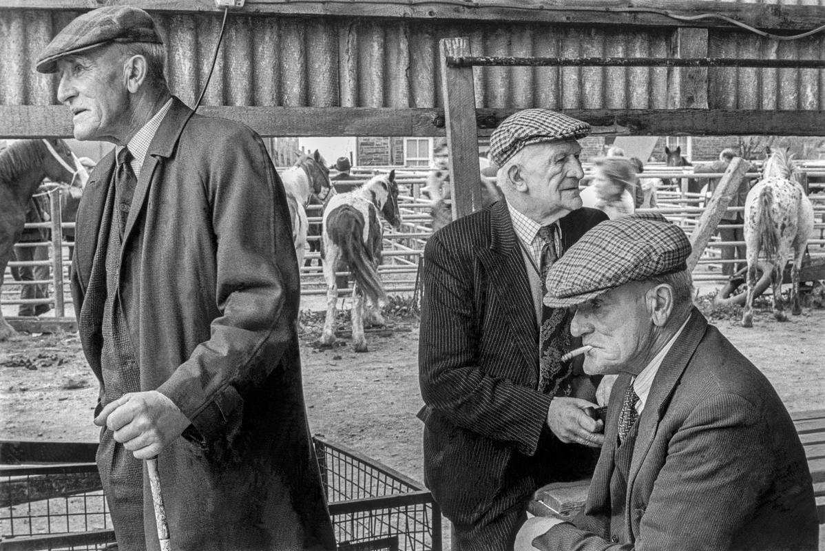 GB. WALES. Llanybyther. Farmers at the Llanybyther Horse Sales. 1976.