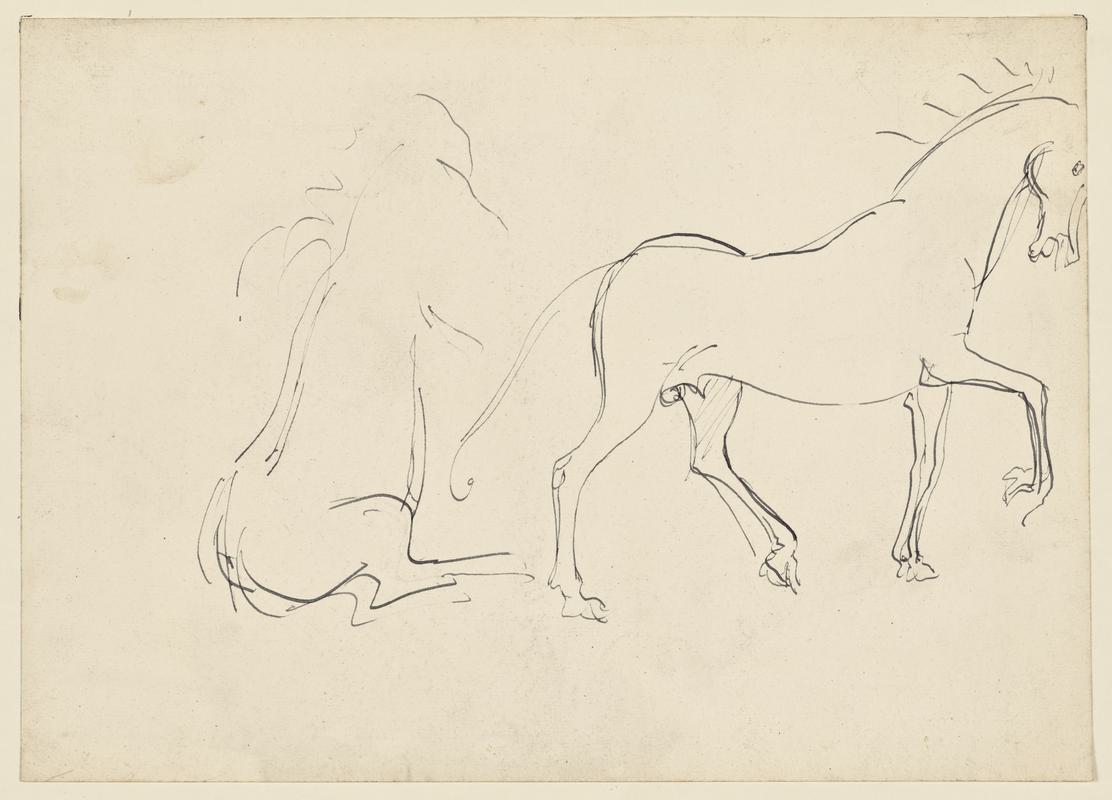 Sketches of Horses