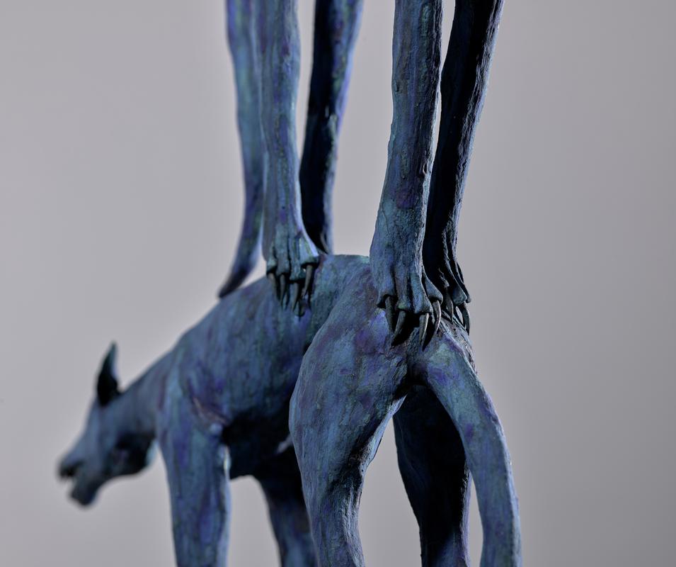 Cŵn Gwyllt