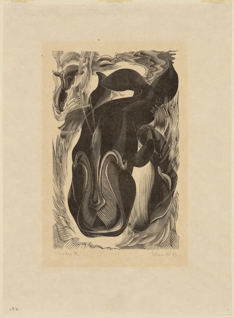 Whales