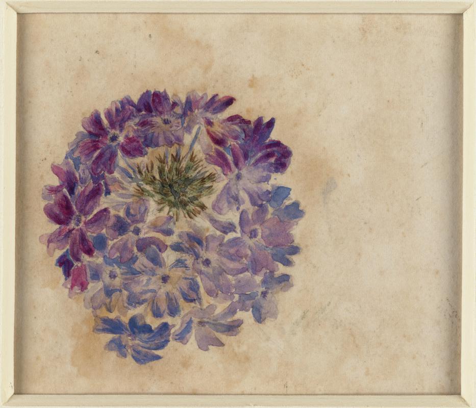 Portrait of a Lady