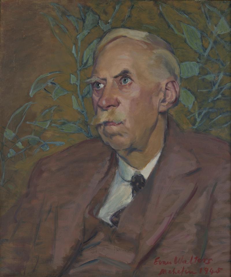 Professor T. Gwynn Jones
