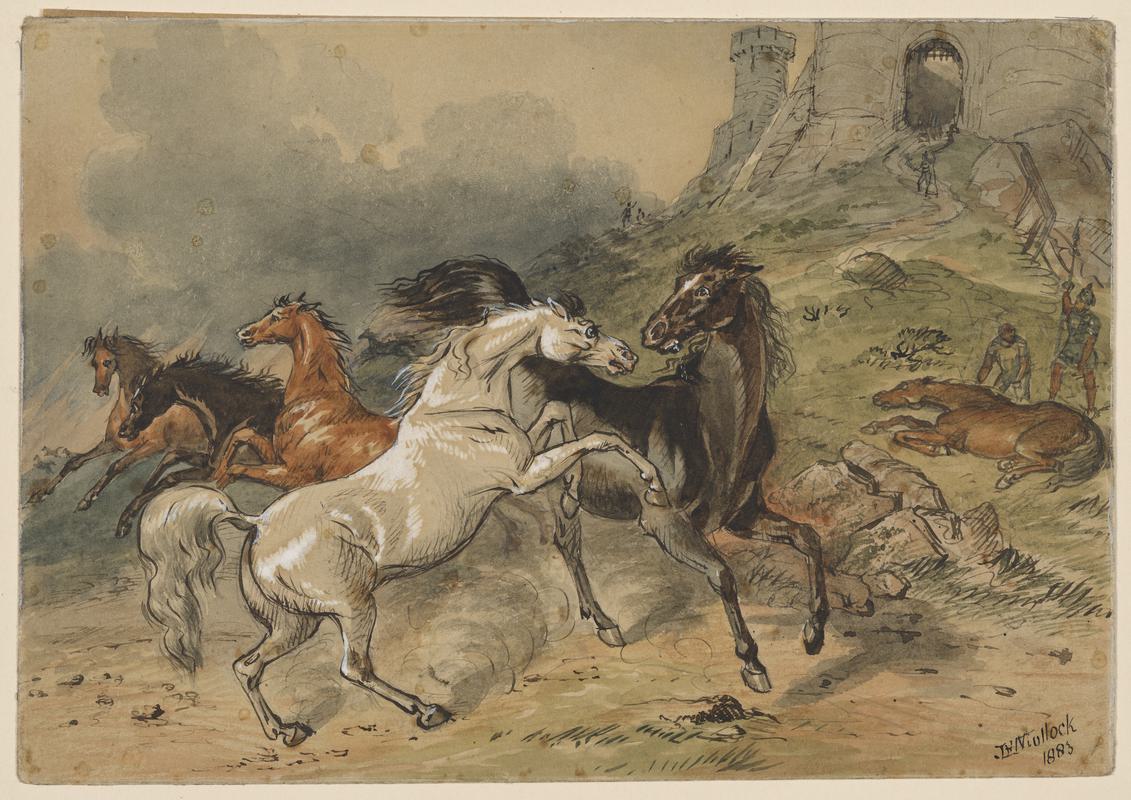 Duncan&#039;s Horses