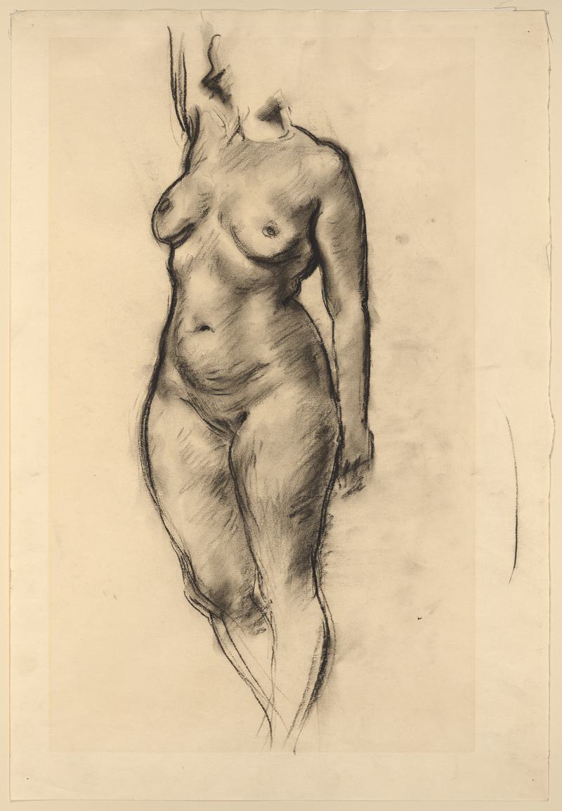 Woman&#039;s Torso